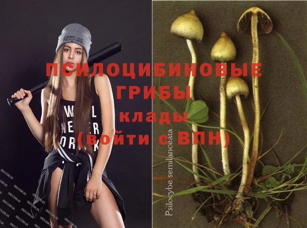 твердый Алзамай