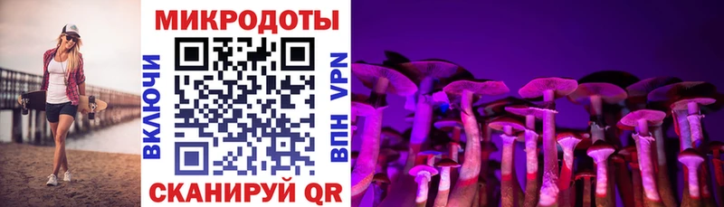 Псилоцибиновые грибы MAGIC MUSHROOMS  Чкаловск 